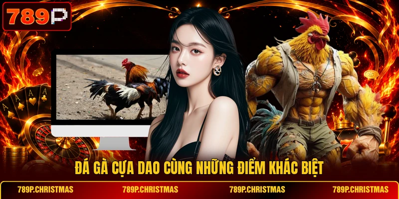 Đá gà cựa dao cùng những điểm khác biệt