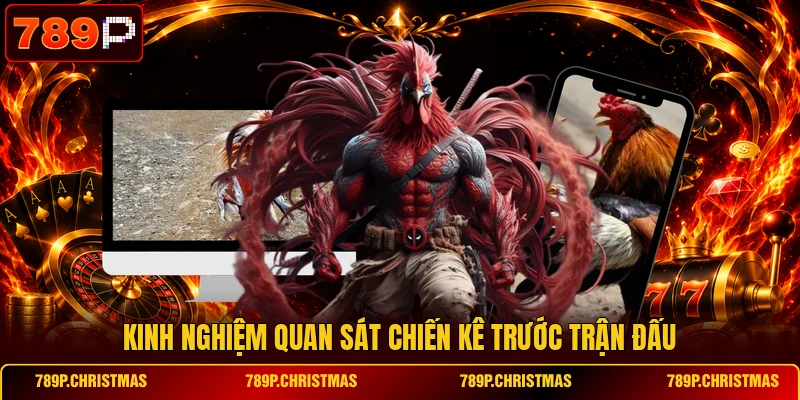 kinh nghiem quan sat chien ke truoc tran dau Kinh nghiệm quan sát chiến kê trước trận đấu